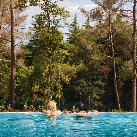 Cozy Stacaravan In Vabriga With Swimming Pool 5* Poreč